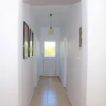 Kovi